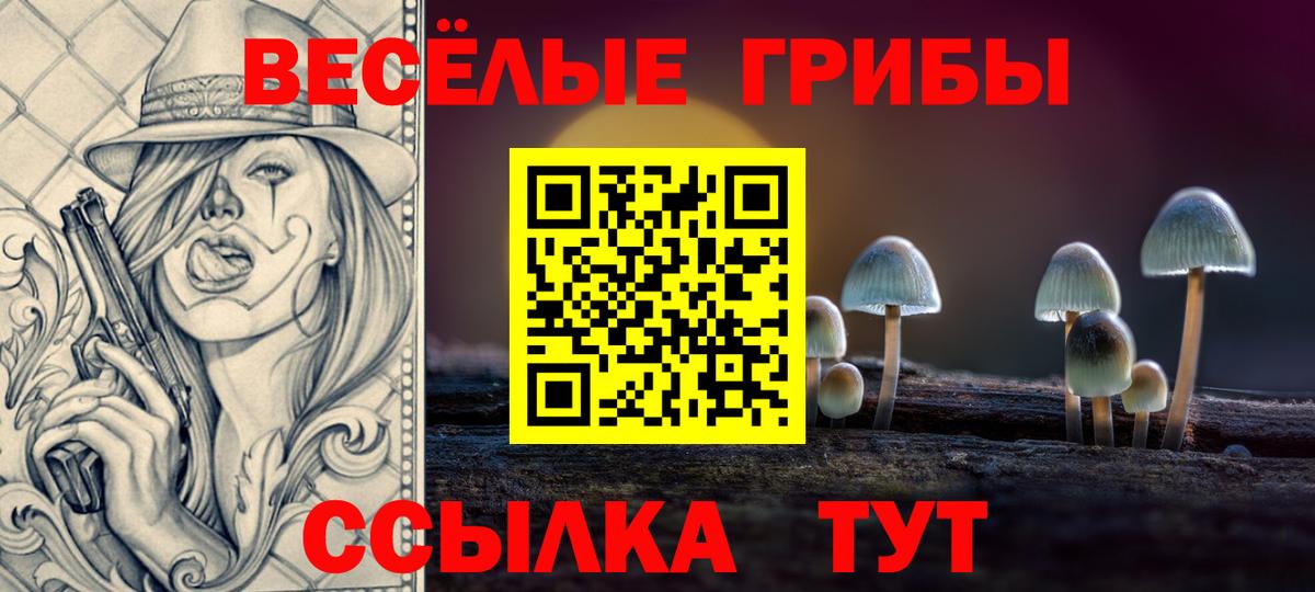 Псилоцибиновые грибы Psilocybe Каменск-Шахтинский
