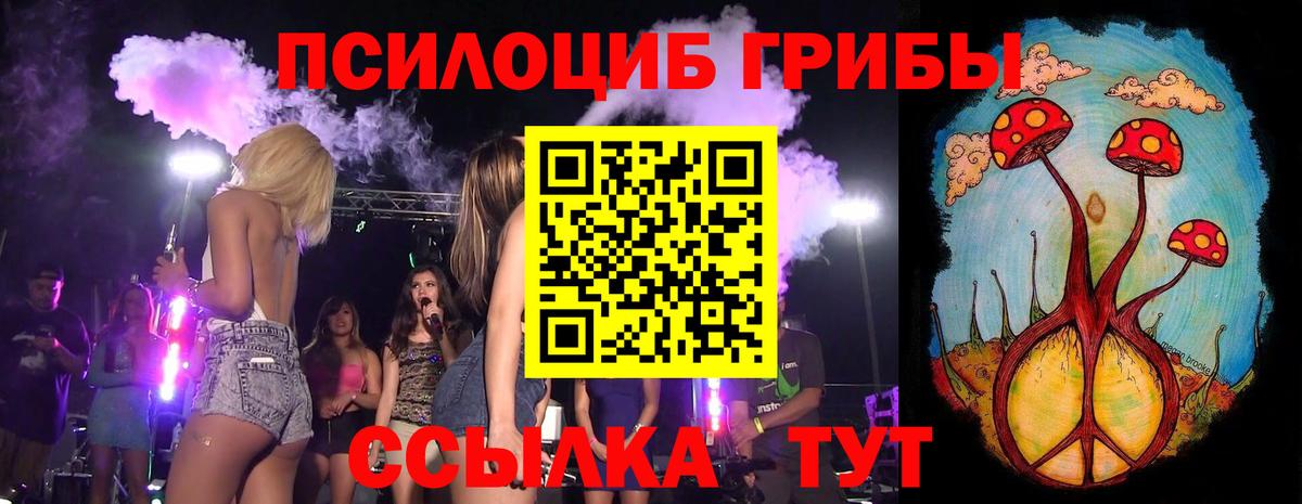 Каменск-Шахтинский  Псилоцибиновые грибы мицелий  купить   Псилоцибиновые грибы Psilocybe  Вход с VPN 